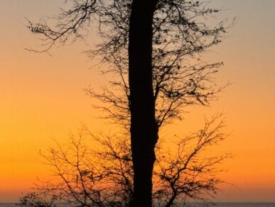 Water Oak Cottage, Daufuskie Island Vacation Rental Group