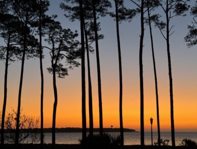 Water Oak Cottage, Daufuskie Island Vacation Rental Group