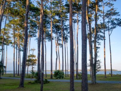 Water Oak Cottage, Daufuskie Island Vacation Rental Group